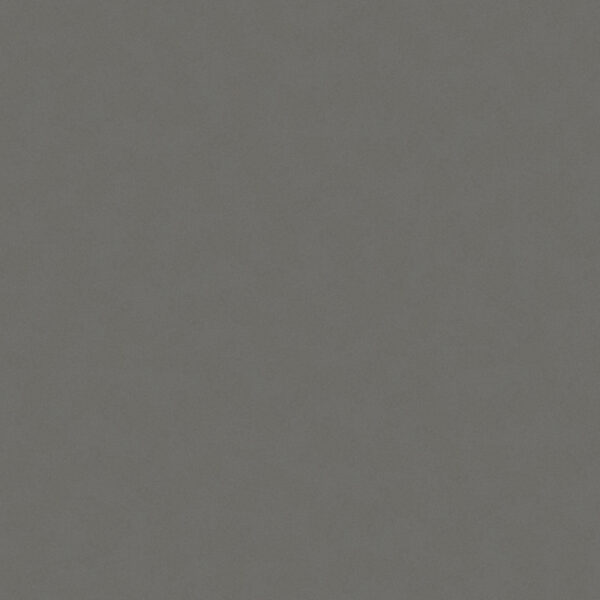 GRIS EXPO